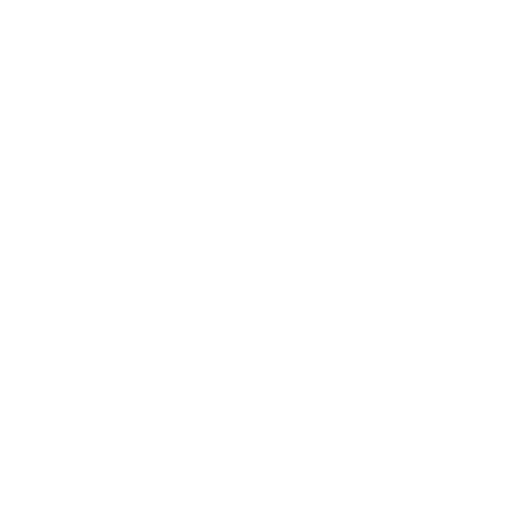 Illustration du rôle Duelliste