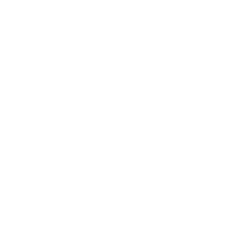 Illustration du rôle Initiateur